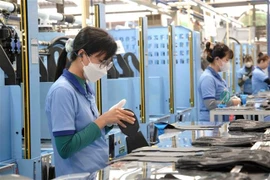 Workers of TKG Tae Kwang Can Tho Co Ltd during working hours. The government aims to have all administrative procedures related to businesses handled entirely online by the end of this year. (Photo: VNA)
