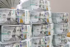 The daily reference exchange rate is set at 25,133 VND/USD on May 19. (Photo: VNA)