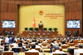 A plenary sitting of the 16th National Assembly’s first extraordinary session (Photo: VNA)