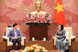 Vice Chairwoman of the National Assembly Nguyen Thi Thanh (right) receives Prof. Kim Hak-min, head of the Ethics Investigation Advisory Committee of the RoK National Assembly, in Hanoi on December 26. (Photo: VNA)