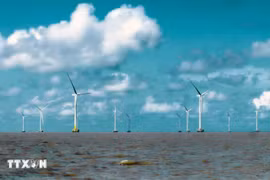 An offshore wind farm in Ca Mau province. With considerable offshore wind resources, estimated at around 600 GW of technical potential, Vietnam boasts favourable conditions to integrate hydrogen production with offshore wind projects. (Photo: VNA)