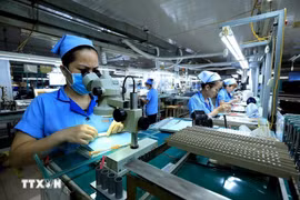 Dong Nai aims to have 1.5 billion USD in FDI disbursed in 2025 in efforts to achieve double-digit economic growth. (Illustrative photo: VNA)