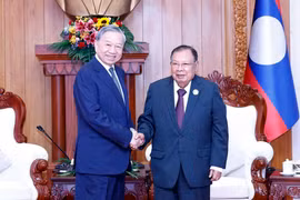General Secretary of the Communist Party of Vietnam (CPV) To Lam (left) meets with former General Secretary of the Lao People's Revolutionary Party (LPRP) and former President of Laos Bounnhang Vorachith. (Photo: VNA)