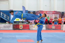 Vietnamese martial artists compete in the World Vovinam Championship 2025. ̣Photo: tienphong.vn)