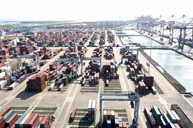 The Cai Mep- Thi Vai seaport complex in HCM City (Photo: VNA)