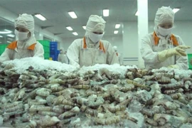 Shrimp exports reached 498 million USD in October, up 26% compared to the same period last year. (Photo: VNA)