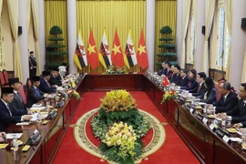 The talks between State President Luong Cuong and Sultan of Brunei Haji Hassanal Bolkiah in Hanoi on December 1 (Photo: VNA)