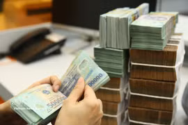 The daily reference exchange rate is at 25,139 VND/USD on May 29. (Photo: VNA)