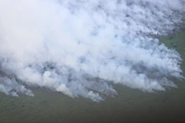A land and forest fire in Riau province, Indonesia, on July 21, 2025 (Photo: Xinhua/VNA)