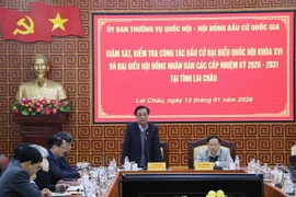 NA Vice Chairman Le Minh Hoan speaks at the working session on election preparations in Lai Chau province on January 13. (Photo: VNA)