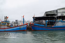 Fishing boats at Quy Nhon Port of Gia Lai province (Photo: VNA)