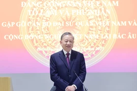 Party General Secretary To Lam speaks at the meeting with representatives of the Vietnamese embassies and communities in Nordic countries in Helsinki on October 21. (Photo: VNA)