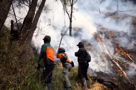 Firefighters strive to extinguish the flames at Mount Bromo National Park, Indonesia's East Java province, on August 6, 2026. (Photo: Xinhua/VNA)