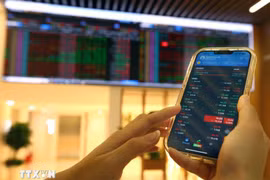 An investor monitors stock changes at the Bao Viet Securities Company