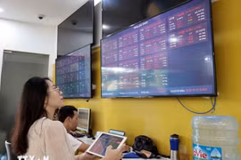 An investor watches stock changes at the headquarters of the Bao Viet Securities Company. (Photo: VNA)