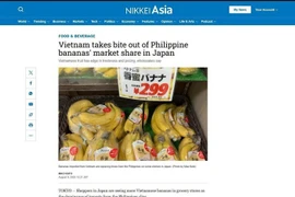 Nikkei Asia reported that Vietnamese bananas are becoming more popular in grocery stores of Japan. (Screenshot photo: VNA)