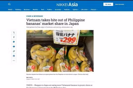 Nikkei Asia reported that Vietnamese bananas are becoming more popular in grocery stores of Japan. (Screenshot photo: VNA)