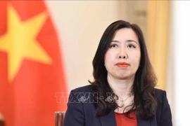 Vietnamese Deputy Foreign Minister Le Thi Thu Hang (Photo: VNA)