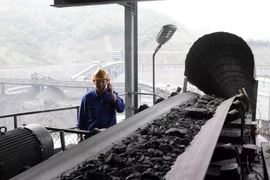 Raw coal is delivered to the Vang Danh coal sorting plant in Quang Ninh province (Photo: VNA)