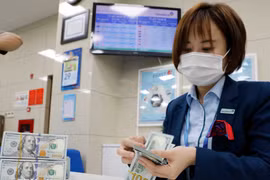 The daily reference exchange is at 25,185 VND/USD on July 18 (Photo: VNA)