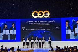 The Global On-Chain Economy Alliance makes debut on November 25. (Photo: VNA)