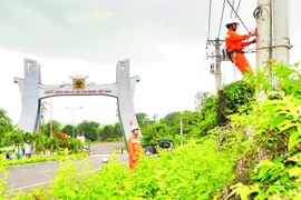 Workers of the Duc Co Power Company in Gia Lai province examine electricity facilities in the vicinity of the Le Thanh International Border Gate. (Photo: nhandan.vn)