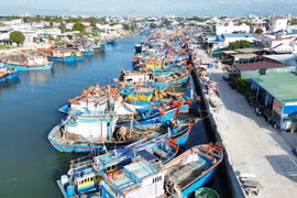 Boats dock at the Dong Hai fishing port in Phan Rang - Thap Cham city, Ninh Thuan province. (Photo: VNA)