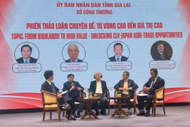A panel discussion as part of the trade promotion conference in Pleiku city, Gia Lai province, on June 5 (Photo: VNA)