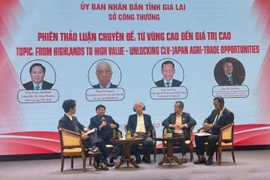 A panel discussion as part of the trade promotion conference in Pleiku city, Gia Lai province, on June 5 (Photo: VNA)
