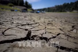 Malaysia moves to enact landmark climate change law 