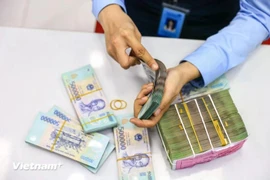 The daily reference exchange rate is set at 25,053 VND on June 26. (Photo: VNA)