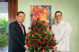 Vietnamese Ambassador to Venezuela Vu Trung My (left) and Cuban Ambassador Jorge Luis Mayo Fernandez at their meeting in Caracas on December 31 (Photo: VNA)