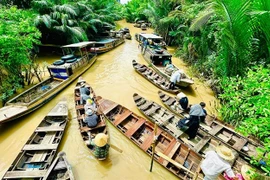 Ben Tre impresses with the image of 'Coconut land'. (Photo: hanoimoi.vn)