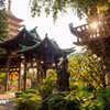 Gallery - Khám phá ngôi chùa phong cách 'xứ Phù Tang' giữa lòng phố núi Gia Lai - image 16