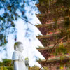Gallery - Khám phá ngôi chùa phong cách 'xứ Phù Tang' giữa lòng phố núi Gia Lai - image 19