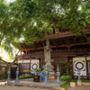 Gallery - Khám phá ngôi chùa phong cách 'xứ Phù Tang' giữa lòng phố núi Gia Lai - image 23