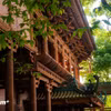 Gallery - Khám phá ngôi chùa phong cách 'xứ Phù Tang' giữa lòng phố núi Gia Lai - image 24
