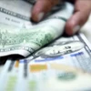 The State Bank of Vietnam sets the daily reference exchange at 25,240 VND/USD on August 14 (Photo: VNA)