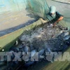 New opportunity for Vietnam’s tilapia exports (Photo: VNA)