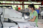 Workers at Maxport Limited Vietnam Co., Ltd. – Nam Dinh branch (Nam Dinh ward, Ninh Binh province). (Photo: VNA)