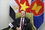 Vietnamese Ambassador to Egypt Nguyen Huy Dung (Photo: VNA)