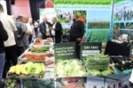 Visitors to Agro-Mashov 2025 have the opportunity to taste the latest fruit and vegetable varieties (Photo: VNA)