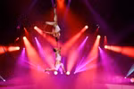 The act “Duo Love” by Meritorious Artists Thanh Tuan and Thu Huong (Photo: Vietnam Circus Federation) 