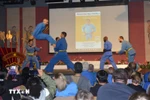 A Vovinam performance - Illustrative image (Photo: VNA)