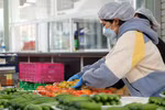 Vegetables and fruits remain among the key foreign currency earners of Lam Dong province, with export turnover estimated at 30.42 million USD in the first quarter of 2026. (Photo: VNA)