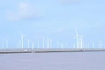 Wind turbines rise across Can Tho, reflecting the city’s push to expand renewable energy as part of its strategy to support sustainable growth and strengthen long-term energy security. (Photo: kinhtedothi.vn)