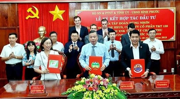 Over 73.2 mln USD to develop hi-tech agriculture projects in Binh Phuoc