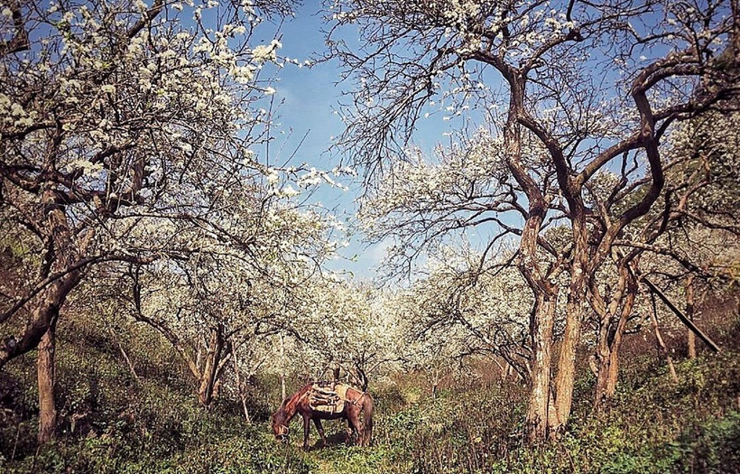 Domestic tours to places close to nature is being increasingly favoured by travelers. (Photo: VietnamPlus) 