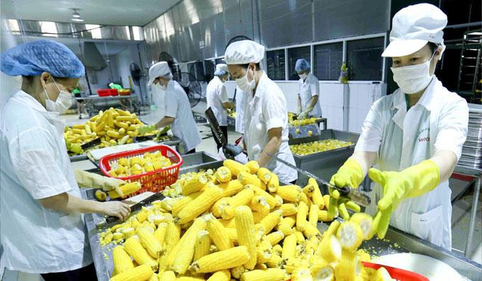 Door open wide for farm produce export to Europe