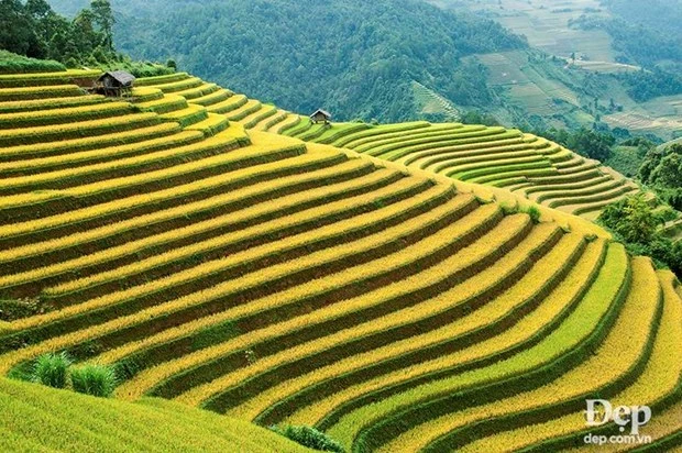 Must-visit spots in Mu Cang Chai